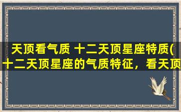 天顶看气质 十二天顶星座特质(十二天顶星座的气质特征，看天顶如何辨识星座特点)